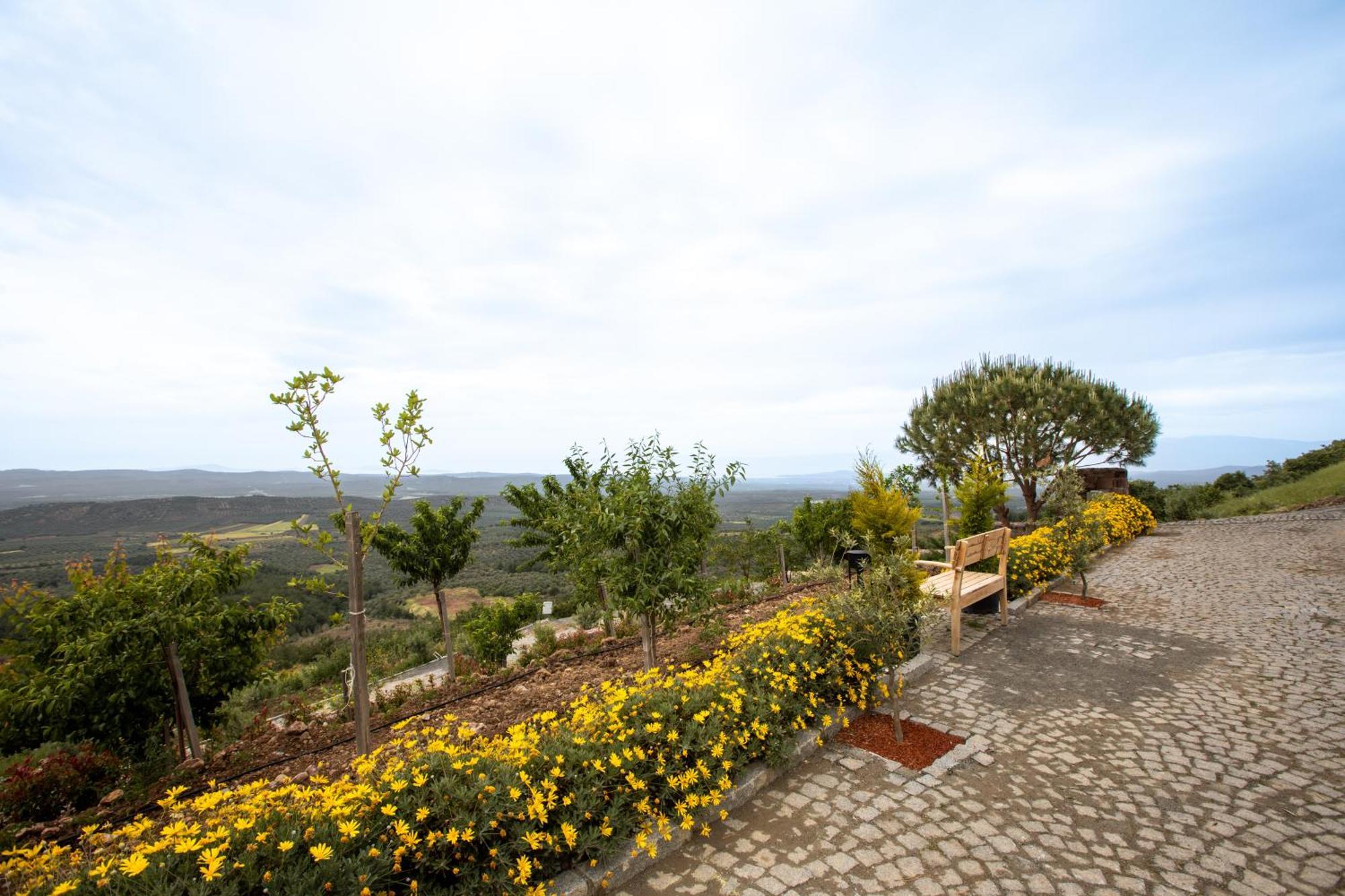 Marlo Ayvalik 12 Plus Adult Only Exterior foto